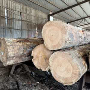 Putih prima Radiata nikel nikel kapal papan Lap untuk proyek Interior - Product Image 4