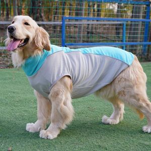 Gilet rafraîchissant pour animaux de compagnie bleu glace et vert fruité avec pochettes de glace, rafraîchissement estival pour races moyennes à grandes - Product Image 2