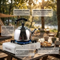 Théière élégante en acier inoxydable, théière durable, bouilloire pour cuisinière à gaz avec fond plat, chauffe-eau rapide pour cuisinière à induction et à gaz
