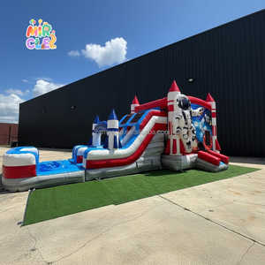 Château Gonflable Commercial avec Toboggan et Piscine Wet Dry <span class=keywords><strong>Convertible</strong></span> Panier Basket pour Location Fêtes - Product Image 2