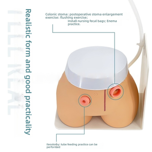 เครื่องมือจำลองการสอนและหุ่นจำลองสำหรับการฝึกวิทยาศาสตร์ทางการแพทย์ - Product Image 2