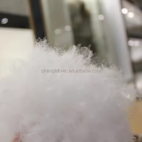 Vente en gros duvet de canard blanc en plumes d'oie veste bon marché rembourrée en duvet pour couettes oreillers coussins