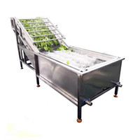 Volledig automatische groente- en fruitwasmachine met PLC-besturing, food grade, capaciteit 500 kg/uur, voor groenteverwerking.