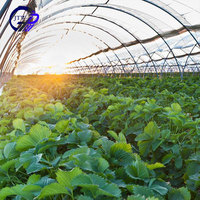 Serre tropicale de haute qualité Vente en ligne Serre agricole Tente Serres de jardin préfabriquées