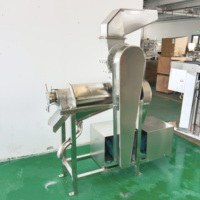 Nieuwe Stijl Industriële Appel Elektrische 304 Roestvrijstalen Fruitgroentesap Maken Machine Te Koop