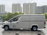 Offre Spéciale Véhicule d'occasion Wuling Lingshi Gold Warehouse 2024 Cargo EV Autonomie NEDC 201-300km Batterie LFP Moteur 50-100KW Faible Coût