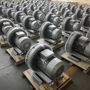 OEM China Famous Brand Industrial Use Ring Blower Hot Sale