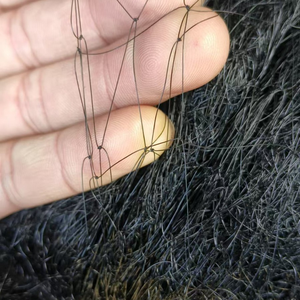 Red Agrícola Antiaves <span class=keywords><strong>de</strong></span> Nailon con Tratamiento UV, Red <span class=keywords><strong>de</strong></span> Protección para Aves <span class=keywords><strong>de</strong></span> <span class=keywords><strong>Campo</strong></span> - Product Image 1