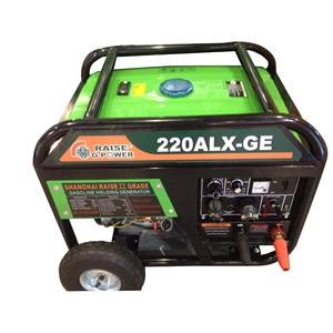 Generador de Soldadura a Gasolina Raise G-Power 220Alx-Ge, 220V 50/60Hz, Doble Función, Portátil para Uso en Exteriores - Product Image 1