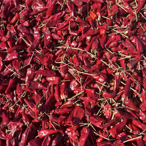 <span class=keywords><strong>Piment</strong></span> rouge Yidu entier cru, épice de <span class=keywords><strong>piment</strong></span>, fournisseur chinois pour le marché éthiopien - Product Image 1