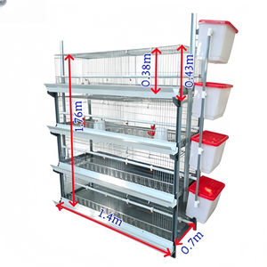Nouvelle Machine de Collecte d'Œufs Automatique HENGQI HqH4 2026, Type H, en Acier Galvanisé à Chaud, Double Moteur, pour Système d'Élevage Avicole - Product Image 2