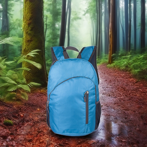 Personalizzato impermeabile leggero pieghevole <span class=keywords><strong>zaino</strong></span> da viaggio, promozionale pieghevole <span class=keywords><strong>zaino</strong></span> - Product Image 5