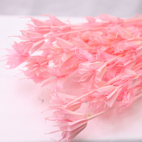 Bouquet de fleurs décoratives multicolores en nigelle et anis étoilé, fait main, longue durée (3-5 ans), idéal pour la maison et la fête des Mères
