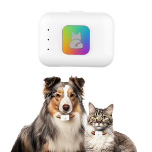 Mini Rastreador GPS 4G para Perros, con Altavoz, Luz LED Intermitente, Localizador de Mascotas - Product Image 6