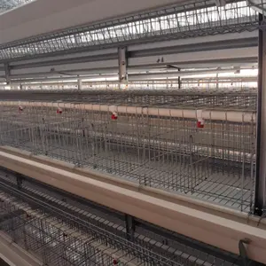 Equipo de granja avícola Batería Capa de huevo Jaula de pollo Gallinas ponedoras