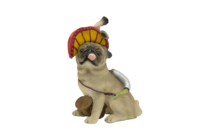 Artisanat en résine d'un petit chien mignon joueur de tennis pirate et sauveteur dans un style créatif