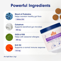 Probiotiques à croquer pour chiens, d'origine usine, soulagement des allergies saisonnières, absorption rapide, complément pour la santé des animaux de compagnie, chats
