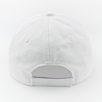 50 styles de casquettes de baseball brodées de haute qualité, édition 2026, pour le 250e bicentenaire, avec motif Aigle des États-Unis, pour l'anniversaire du 250e anniversaire des États-Unis, chapeaux d'Amérique