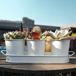 Decorazione funzionale fioriera per interni Kit di <span class=keywords><strong>piante</strong></span> in metallo vaso di fiori per bambini e fiori per casa Set di vasi per erbe - Product Image 6