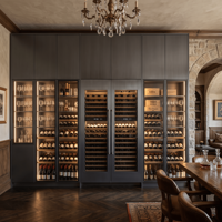 Armoire à vin haut de gamme en acier inoxydable, antirouille, de haute qualité, pour salon, bar à domicile, armoire à liqueurs résistante à l'humidité