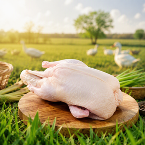 Viande <span class=keywords><strong>de</strong></span> <span class=keywords><strong>canard</strong></span> entière surgelée <span class=keywords><strong>de</strong></span> qualité supérieure, volaille fraîche surgelée pour restaurants en gros, <span class=keywords><strong>canard</strong></span> riche en protéines et sain - Product Image 3
