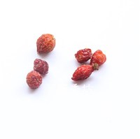 Rijk Aan Vitamine C Gedroogde Rozenbottel Thee Rose Hip Rosa Canina Fruit