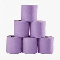 Rouleaux de papier toilette décoratifs 2 plis hautement absorbants et jetables pour la maison, l'hôtel et les applications cadeaux – Papier toilette coloré