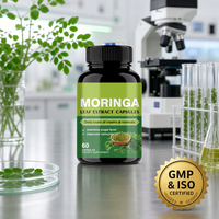 Capsules d'extrait de feuilles de Moringa en gros – Approvisionnement en vrac – Superaliment Moringa Oleifera – Complément de soutien immunitaire pour le bien-être des adultes