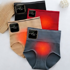 Customize Detachable Graphene-heated Women's Warm Underwear for Relieving Menstrual Cramps and Hot Compressing - Product Image 3