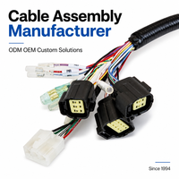 Produsen Kabel Harness Wiring HarnessODM OEM 	   Produsen Perakitan Kabel Kawat untuk Sepeda Motor dan Kendaraan