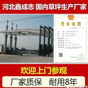 Césped Artificial de 1.0 Kg Fácil de Instalar para Decoraciones de Bodas y Hogar al Aire Libre - Product Image 5