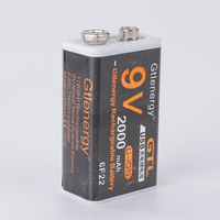 Batterie 9 V 2000mAh, batterie rechargeable au lithium USB C de 9 volts, jusqu'à 3000 cycles avec port de charge TYPE-C