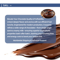 Nouvelle machine à concher horizontale en acier inoxydable 304 pour chocolat, capacité 40/500/1000/2000/3000 kg/lot, certifiée CE