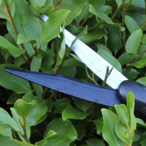 CISAILLES À HERBES PIVOTANTES À 180 °, POSITION 9" - Product Image 3