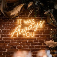 Enseigne néon LED en gros, enseigne lumineuse personnalisée en lettres, affichage en acrylique pour magasin de détail, hôtel, décoration d'événements, fournisseur, usine