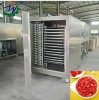 Lyophilisateur industriel Zhuoyu Shandong pour la déshydratation du lait et du lait de coco, en acier inoxydable, haute efficacité