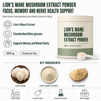 Gummies véganes sans sucre pour enfants, favorisant la concentration et la mémoire, saveur personnalisée OEM ODM, extrait de champignon crinière de lion en poudre