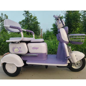 तीन पहिया इलेक्ट्रिक स्कूटर (TF-TRK251) - Product Image 2