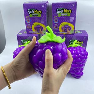 Decompression Squeeze Toys Slow Rebound Squishy Grape Stress <b>Fidget</b> Toy Slow Rising Fruit Squeeze Stress Stretch Toy for Kids - Product Image 2