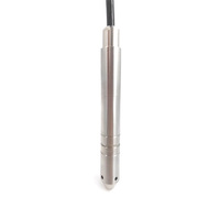 Sonde de 19 mm, 4-20 mA, piezomètre hydrostatique en acier inoxydable, capteur de niveau d'eau submersible, transmetteur pour puits profond