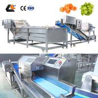 Groentesalademachine 50-500 kg/uur, salade snij- en dobbelmachine, salade wasmachine, semi-automatische salade productielijn