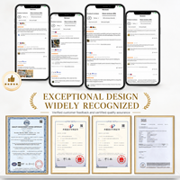 Miroir artistique moderne en forme de pilule, 13 pouces, design minimaliste en verre teinté avec cadre en laiton, prêt pour l'audit OEM BSCI