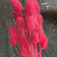 Bunga Teasel Dipsacus Asli Awet Alami, Kepala Bunga Berwarna Pink, Bahan Bunga DIY untuk Dekorasi Pernikahan dan Rumah