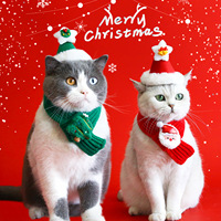 Dekorativer Gestrickter Weihnachtsschal für Haustiere Katze Hund Stoff Cartoon David's Hirsch Schneemann Personalisierte Niedliche Warme Plüschmütze Set