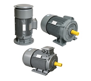 มอเตอร์แท้ Innomotics รุ่น 230/380/660V มอเตอร์เหนี่ยวนำ 30kw 37kw 55kw 75kw 90kw B3 B5 B35 - Product Image 4