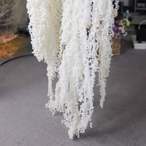 Bảo Quản Hoa Treo Hạt Những Người Yêu Thích Nước Mắt Khô <span class=keywords><strong>Amaranth</strong></span> Lá <span class=keywords><strong>Amaranth</strong></span> Caudatus Amaranthus Cho Đám Cưới Trang Trí Nội Thất - Product Image 4