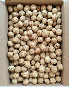 Prezzo di fabbrica natura cruda noci secche sano Snack noci frutta - Product Image 2