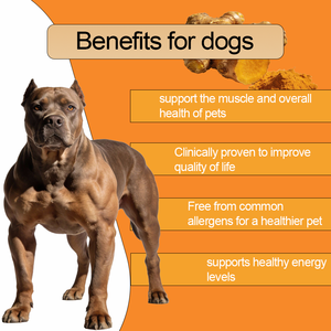 תוסף תזונה רב תכליתי לחיות מחמד, פורמולה מותאמת אישית, טבעי, עשיר בחלבון, לעלייה במשקל, בניית שרירים, לעיסה לכלבים - Product Image 2