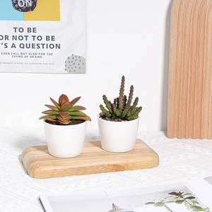 Dropshipping vasi succulenti da 3.31 pollici <span class=keywords><strong>in</strong></span> <span class=keywords><strong>ceramica</strong></span> piccoli vasi succulenti con drenaggio bianco succulento fioriere vasi da fiori per <span class=keywords><strong>piante</strong></span> - Product Image 3