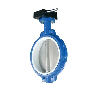 OEM DN50 Ductile iron manual butterfly valve ptfe wafer seat lined butterfly valve